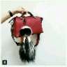 Iris_in_the_Bag