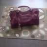 ladybag31