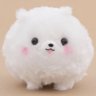 Whiteforestdog