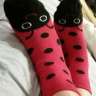dasladybug