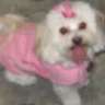 DimondPrincess