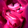 Aleph