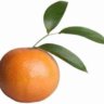 LaraMarcella