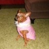 kimberleyb