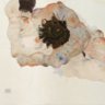 duanyu