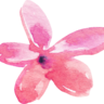 winwo