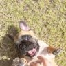 Rubbie