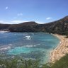 Mjaloha