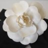TheWhiteCamelia