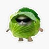 plastic_cabbage