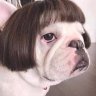 jolinehawa