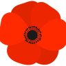 PoppyLovesPurses
