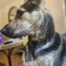 lilizito