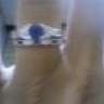lgerman102