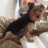 amjac2wm