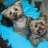heatherlc123