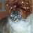 lucedent