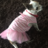 tarina_fan