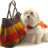 DesignerHandbags
