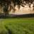fable2506