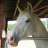 Arabian Mare