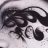 bittersweetlily