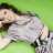 joycelim83