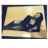 VivienX