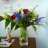 sosweetgrace