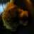 vicky11