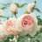 flowersong