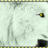 wolfinheat