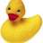 HollyDucky