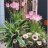 lilian01022013