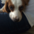 Jesswin79