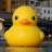pmquack