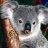 koalamui