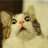 tofumon