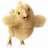 Chocobo_Knight