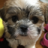 thisbe