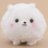 Whiteforestdog