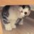 Whitesesame
