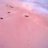 pinksands