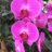 Sue_lyn362