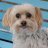 Amymay718