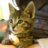 minicourageuse