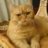 Caterin
