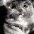 Meowmewmew