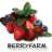 berryfarm