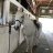 Handbags&horses